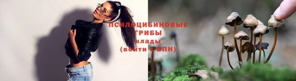 дживик Вяземский