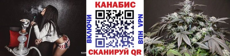 Каннабис SATIVA & INDICA  Купить закладки  Новозыбков 