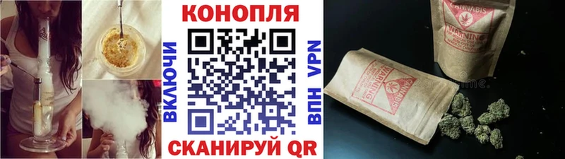 МАРИХУАНА OG Kush Новозыбков